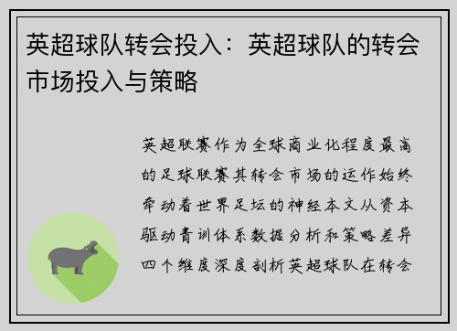 英超球队转会投入：英超球队的转会市场投入与策略