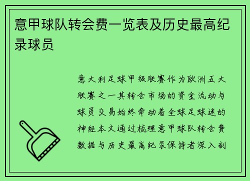 意甲球队转会费一览表及历史最高纪录球员