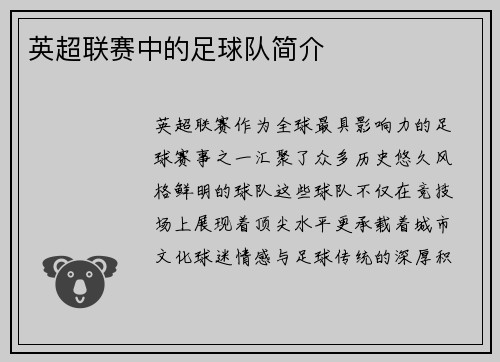 英超联赛中的足球队简介