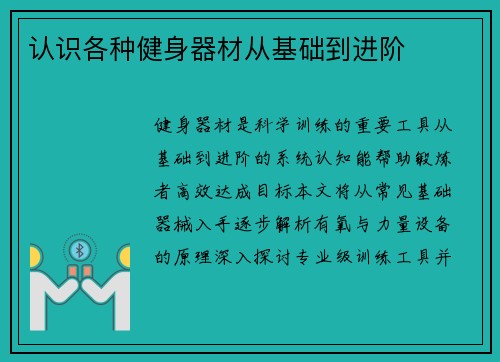认识各种健身器材从基础到进阶